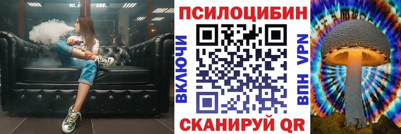 Купить закладки  Одинцово  Псилоцибиновые грибы Cubensis